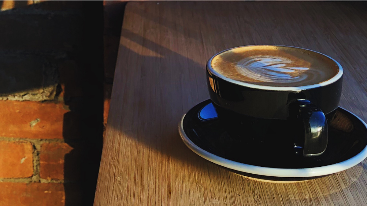 Salute Coffee Company Photos 2